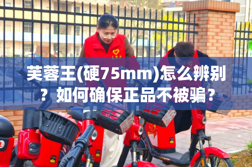 芙蓉王(硬75mm)怎么辨别？如何确保正品不被骗？